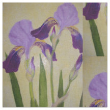 bbillipsによる紫色のアイリス