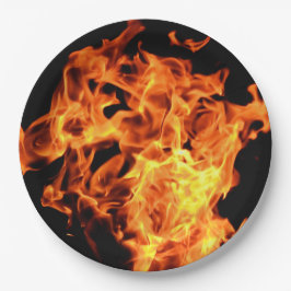 BBQの火は使い捨て可能な紙皿を炎にあてます ペーパープレート