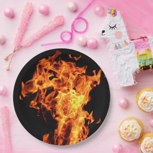 BBQの火は使い捨て可能な紙皿を炎にあてます ペーパープレート (パーティー)