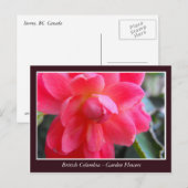 BCの庭の花 ポストカード (正面/裏面)