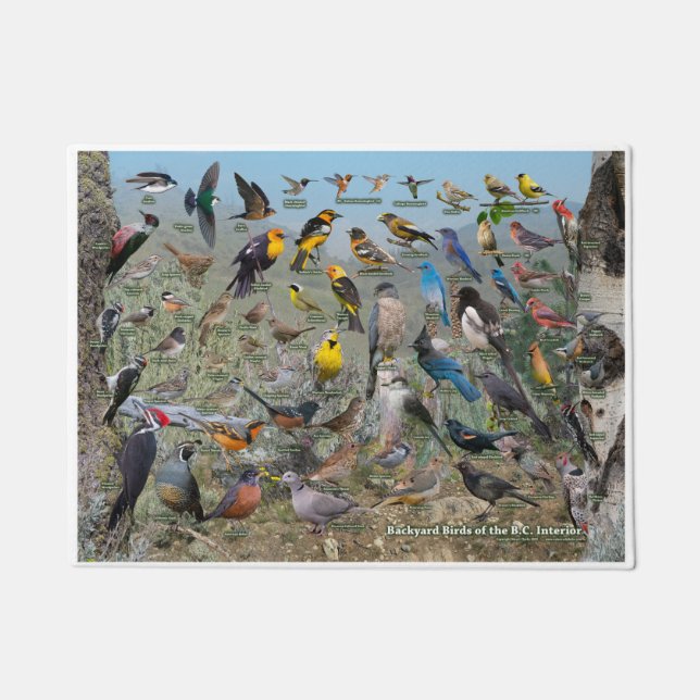 BCインテリア ドアマット (正面)