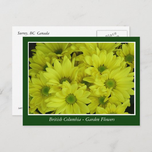 BC庭の花 ポストカード (正面/裏面)