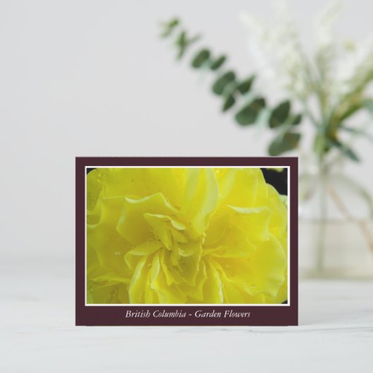 BC庭の花 ポストカード (スタンド正面)