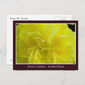 BC庭の花 ポストカード (正面/裏面)