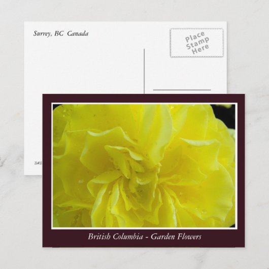 BC庭の花 ポストカード (正面/裏面)