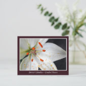 BC庭の花 ポストカード (スタンド正面)