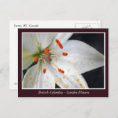 BC庭の花 ポストカード (正面/裏面)