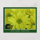 BC庭の花 ポストカード (正面)