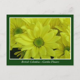 BC庭の花 ポストカード