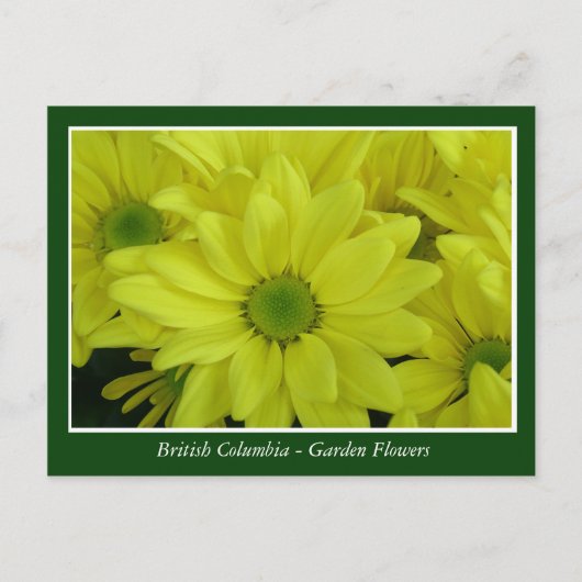 BC庭の花 ポストカード (正面)