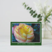 BC庭の花 ポストカード (スタンド正面)