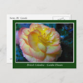 BC庭の花 ポストカード (正面/裏面)