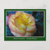 BC庭の花 ポストカード (正面)