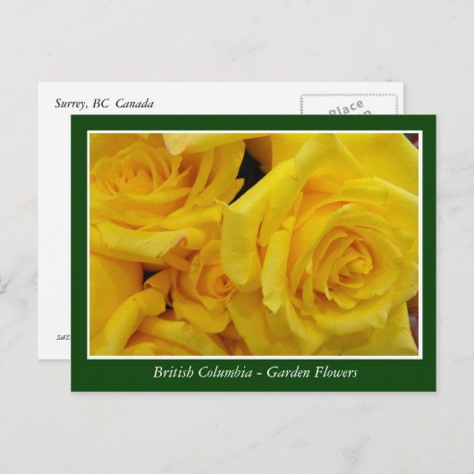 BC庭の花 ポストカード (正面/裏面)