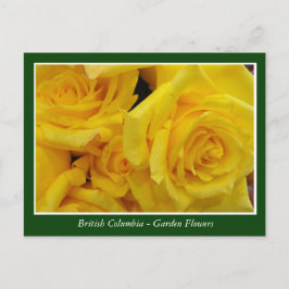 BC庭の花 ポストカード