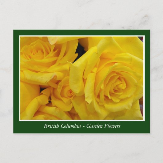 BC庭の花 ポストカード (正面)