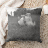 BC牧場ウマ科のの馬好き写真 クッション (ブランケット)