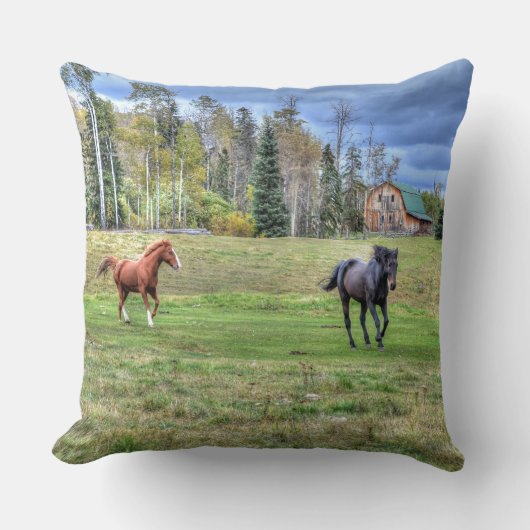 BC牧場ウマ科のの馬好き写真 クッション (正面)