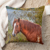 BC牧場ウマ科のの馬好き写真 クッション (ブランケット)