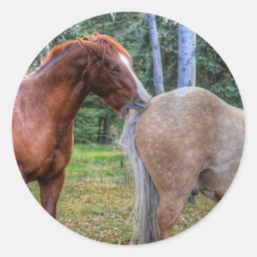 BC牧場ウマ科のの馬好き写真 ラウンドシール (正面)