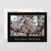 BC、春梅花 ポストカード (正面/裏面)