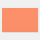 BCMギフトエレガントラッピングシート ラッピングペーパーシート (正面3)