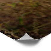 Be 素晴らし ポスター (角)