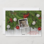 Be 3メリーフォトエバーグリーンホリデーカード シーズンカード (裏面)