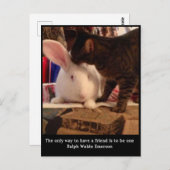 Be a Friends Postgcard ポストカード (正面/裏面)