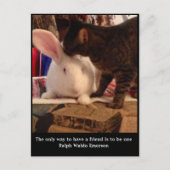 Be a Friends Postgcard ポストカード (正面)