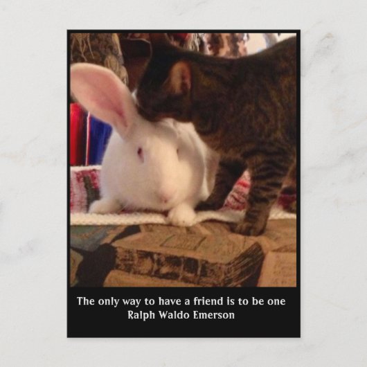 Be a Friends Postgcard ポストカード (正面)