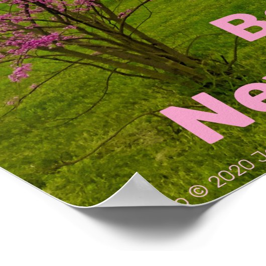 Be Invincible Like A Lion. ポスター (角)