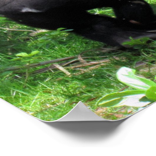 Be Kind Poster - Baby Gorilla Quote Poster ポスター (角)