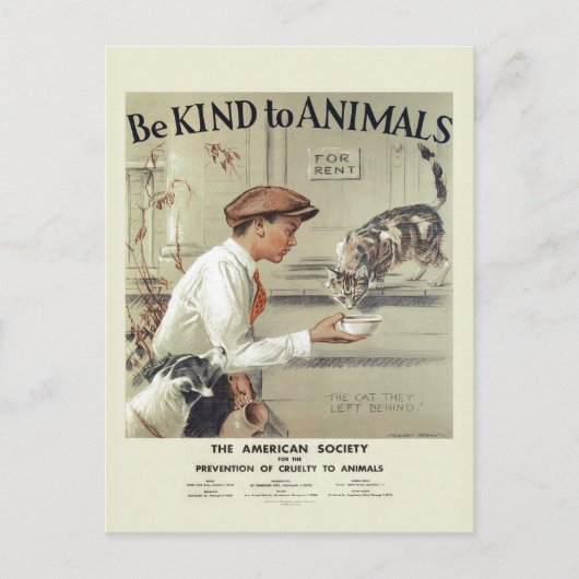 Be Kind to Animals USAヴィンテージポストカード#2 ポストカード (正面)