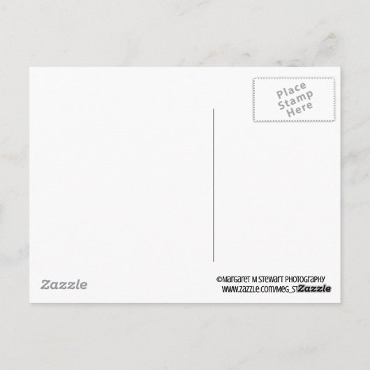 Be Mine Little Chipmunkはがき ポストカード (裏面)