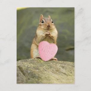 Be Mine Little Chipmunkはがき ポストカード