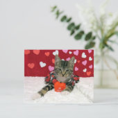 Be My Valentine - Bandit Cat / Kitten - Flat Card シーズンカード (スタンド正面)
