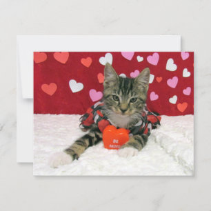 Be My Valentine - Bandit Cat / Kitten - Flat Card シーズンカード