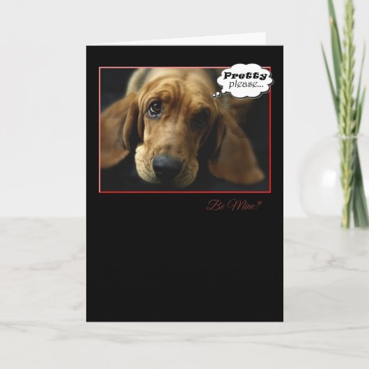 Be My Valentine Basset Hound Card シーズンカード (正面)