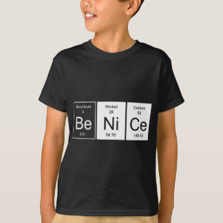 Be Nice Chemistry GIft Tシャツ
