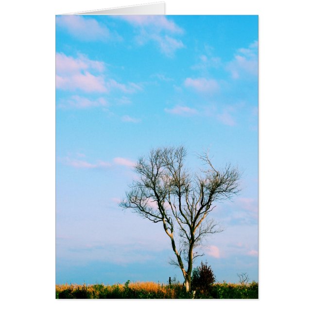 Be Not Barren -聖なる書物、 経典カード (正面)