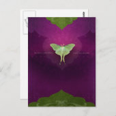 Be Still(ポストカード) ポストカード (正面/裏面)