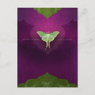 Be Still(ポストカード) ポストカード