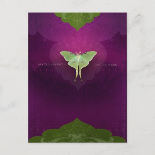 Be Still(ポストカード) ポストカード (正面)