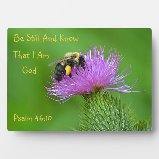 Be Still（昆虫）マルハナバチ フォトプラーク (正面)