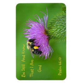 Be Still（昆虫）マルハナバチ マグネット