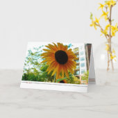 be*well_sunny広場の写真 カード (黄色い花)