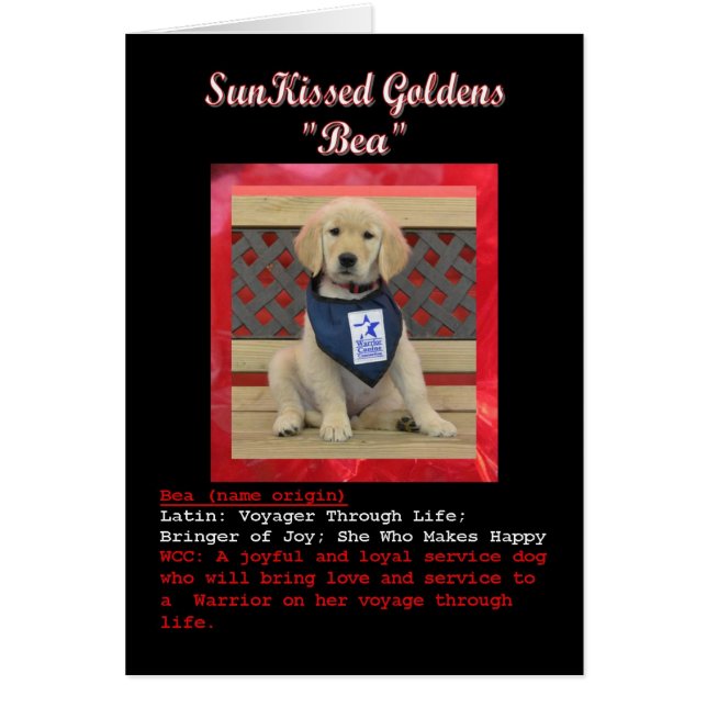 Beaの名刺 (正面)