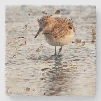 Beach Bird Photo Stone Coaster ストーンコースター