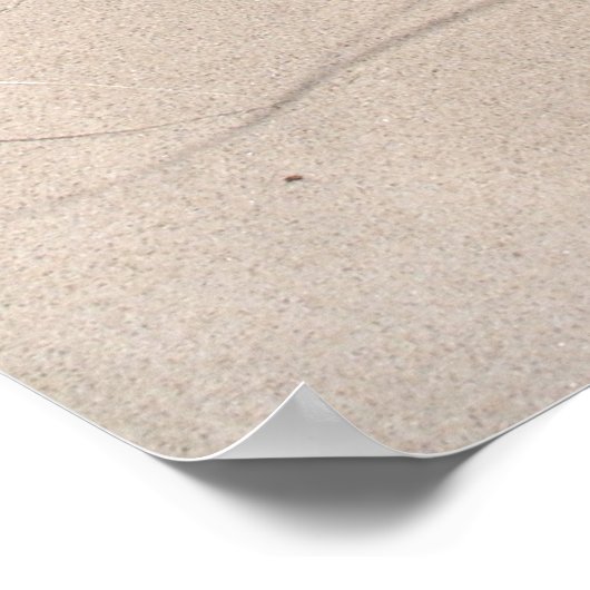 Beach Grass, Warren Dunes, MI ポスター (角)